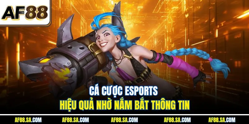 Cá cược Esports hiệu quả nhờ nắm bắt thông tin