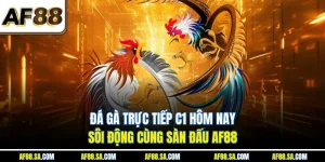 Đá Gà Trực Tiếp C1 Hôm Nay – Sôi Động Cùng Sàn Đấu AF88