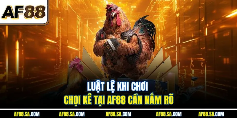Luật lệ khi chơi chọi kê tại AF88 cần nắm rõ