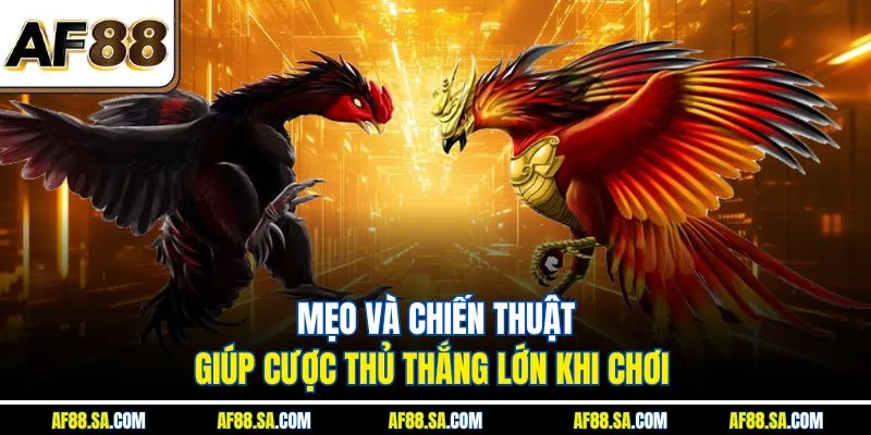 Mẹo và chiến thuật giúp cược thủ thắng lớn khi chơi 