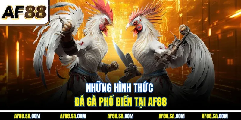 Những hình thức đá gà phổ biến tại AF88