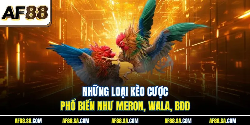 Những loại kèo cược phổ biến như Meron, Wala, BDD