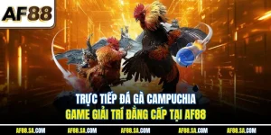 Trực Tiếp Đá Gà Campuchia - Game Giải Trí Đẳng Cấp Tại AF88